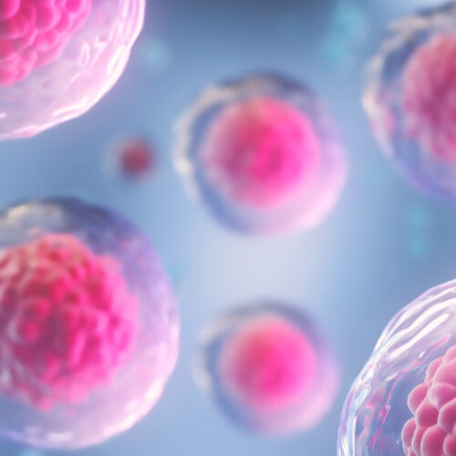Appel à Manifestation d’Intérêt : France 2030 NMRC – Évaluation des nouveaux outils, nouveaux usages et nouvelles approches méthodologiques de recherche clinique