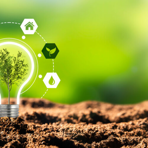 AER BFC is recruiting an eco-design project manager